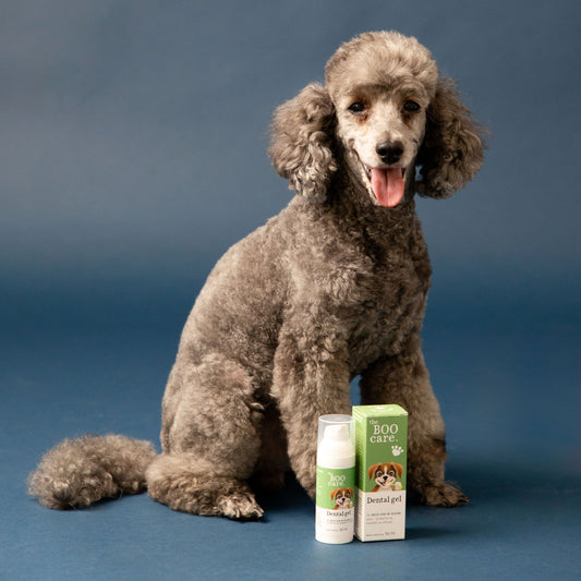 Boo Care – naravna pasja kozmetika z ljubeznijo do psov in narave