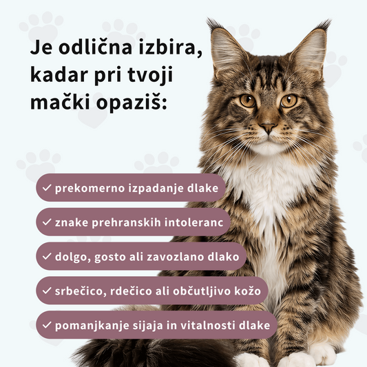 Prehransko dopolnilo za sijočo dlako mačk