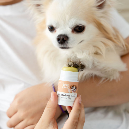 Boo Care – naravna pasja kozmetika z ljubeznijo do psov in narave
