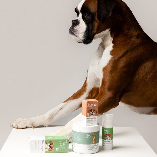 Daily Care Bundle