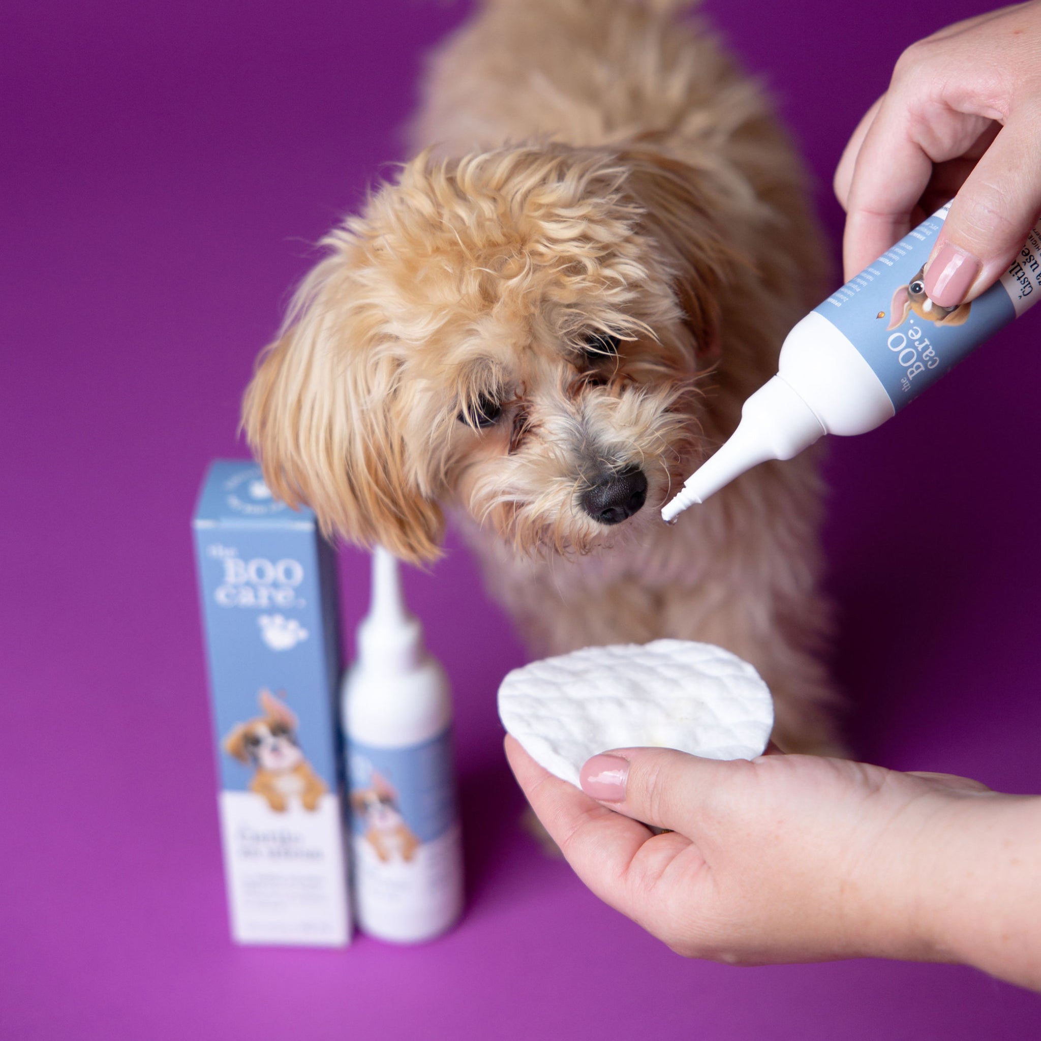 Boo Care – naravna pasja kozmetika z ljubeznijo do psov in narave