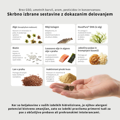Блестящая шерсть