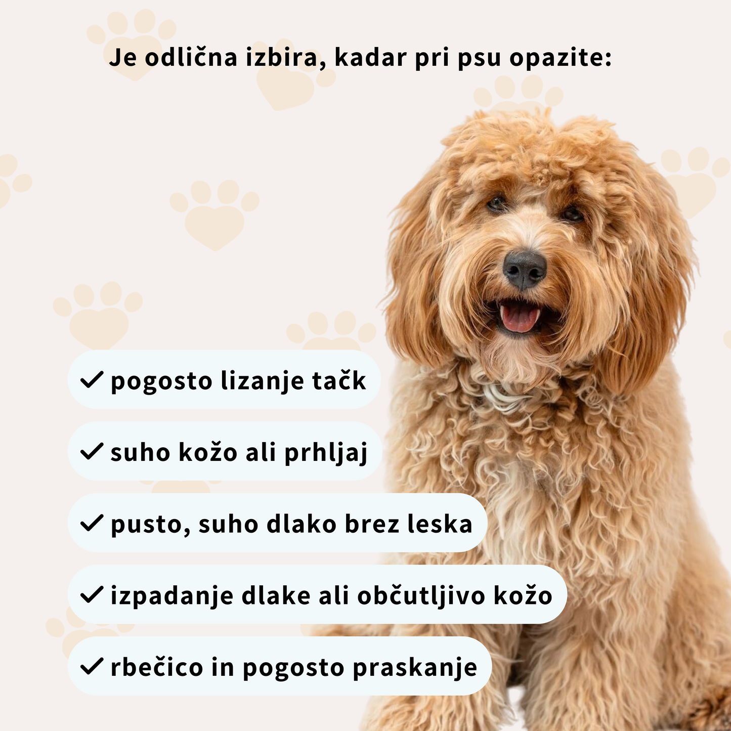 Prehransko dopolnilo za kožo in dlako psov