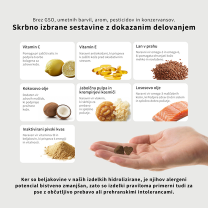 Prehransko dopolnilo z multivitamini za mačke