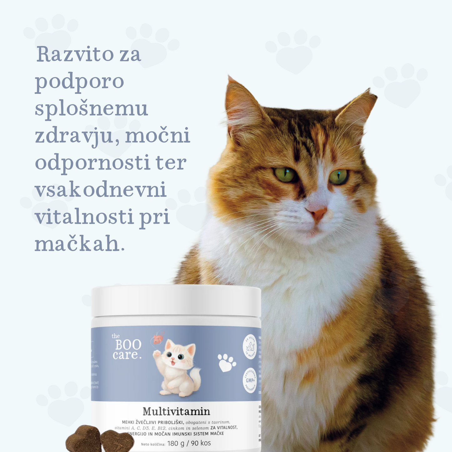 Prehransko dopolnilo z multivitamini za mačke