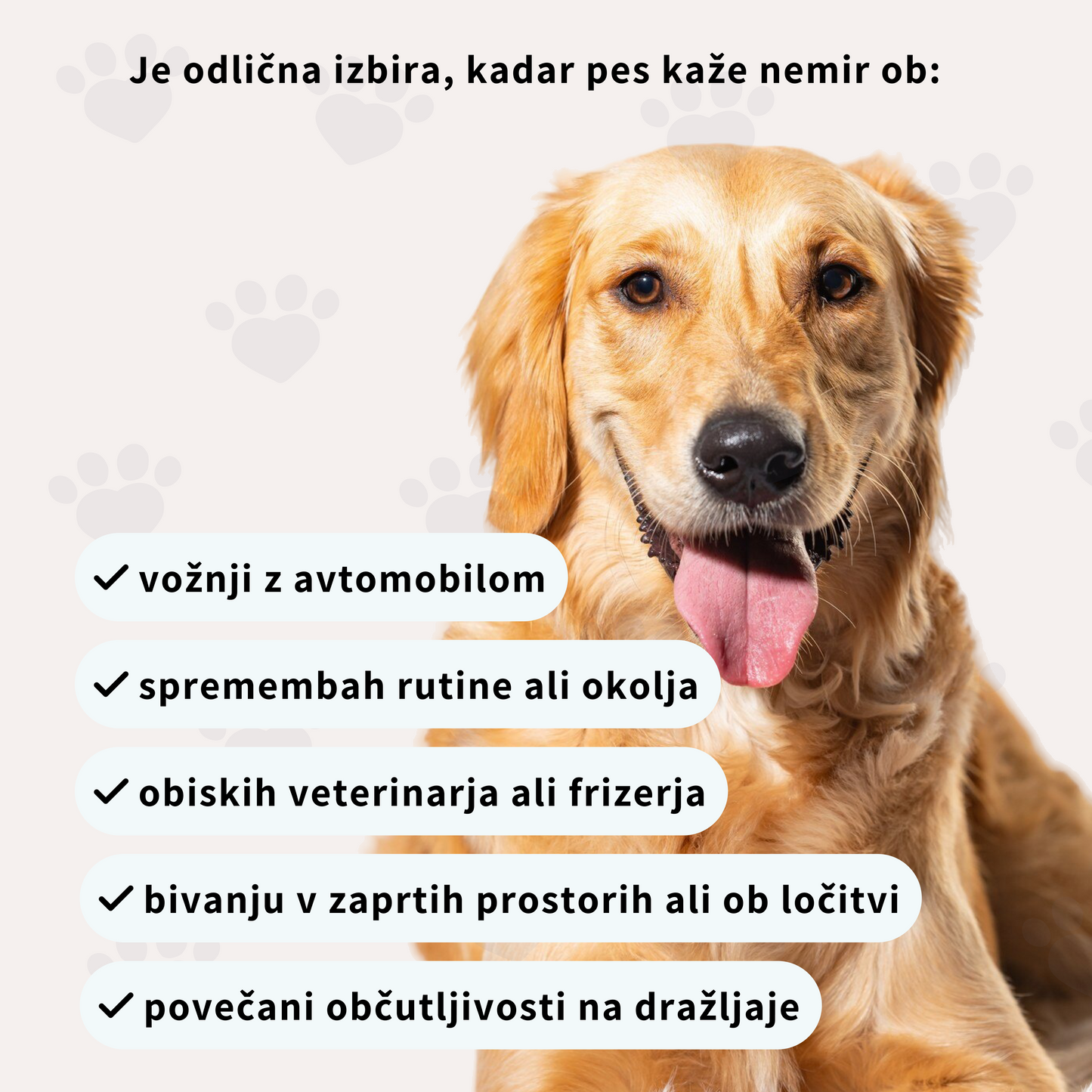 Pomiritev in sprostitev