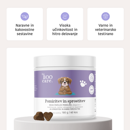 Pomiritev in sprostitev