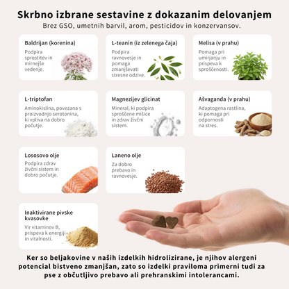 Pomiritev in sprostitev