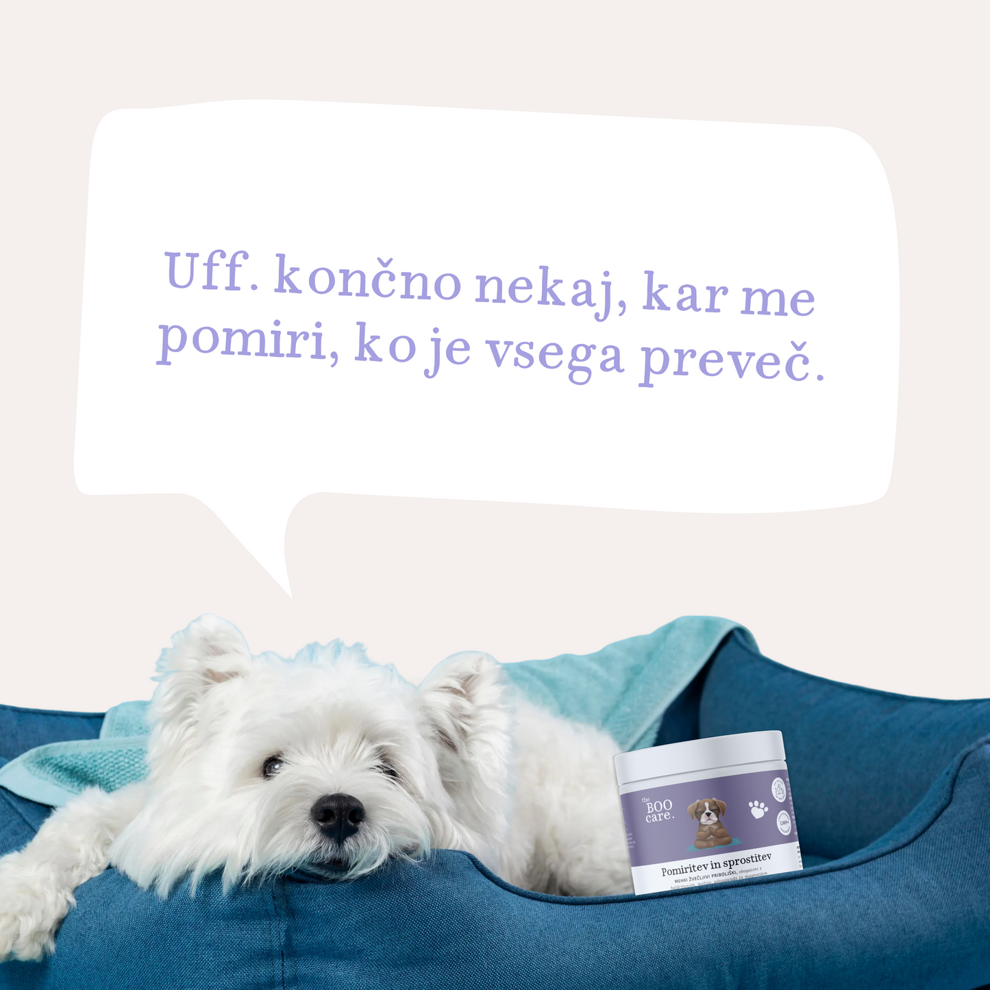 Pomiritev in sprostitev