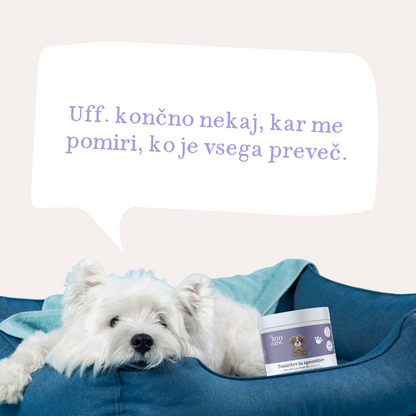 Pomiritev in sprostitev