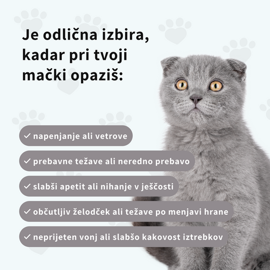 Prehransko dopolnilo s probiotiki in prebiotiki za mačke