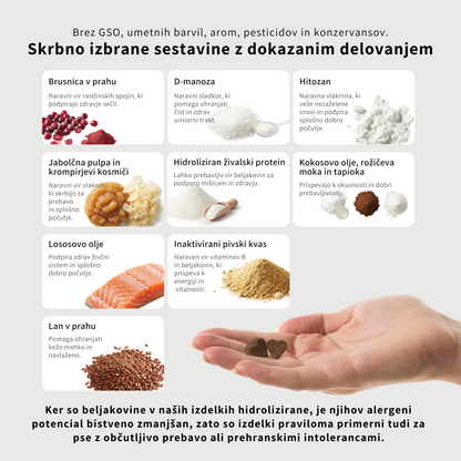 Kidneys and urinary tract 