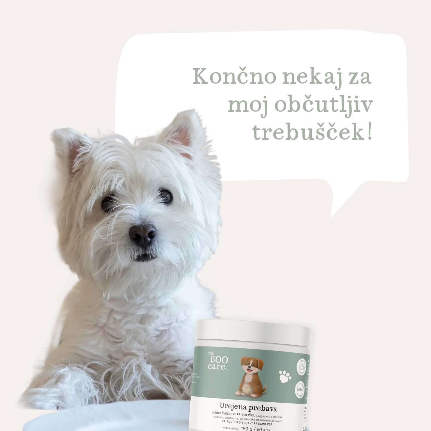 Prehransko dopolnilo za urejeno prebavo psov