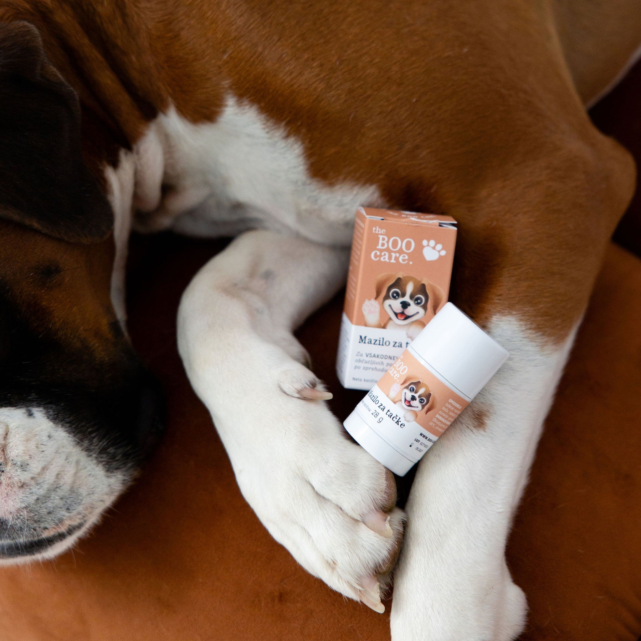 Boo Care – naravna pasja kozmetika z ljubeznijo do psov in narave