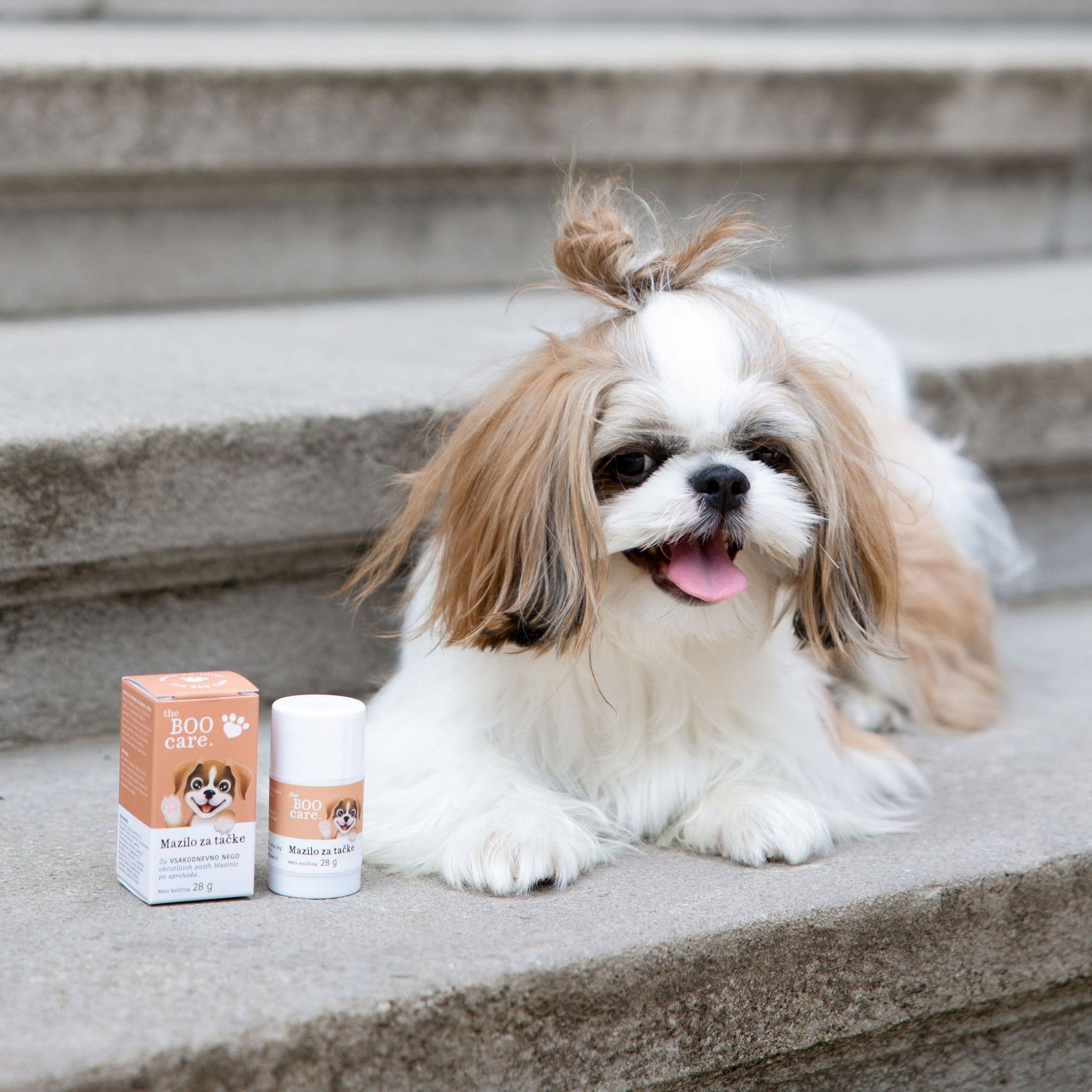 Boo Care – naravna pasja kozmetika z ljubeznijo do psov in narave